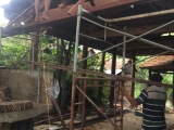 Nhà gỗ có phù hợp với khí hậu nóng ẩm của Việt Nam không?