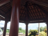 Những loại gỗ thường được dùng để làm nhà gỗ