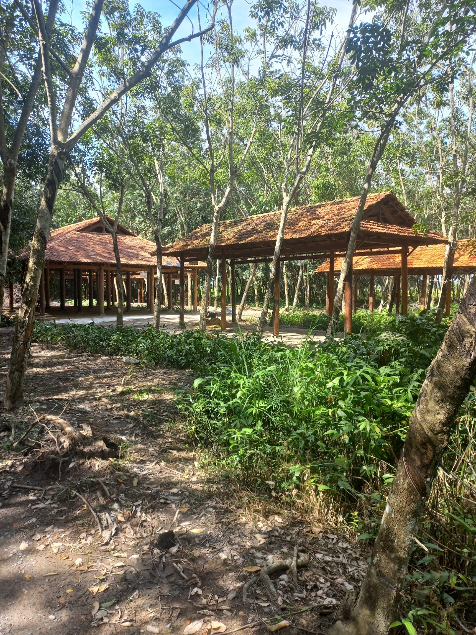 cách thi công nhà gỗ truyền thống