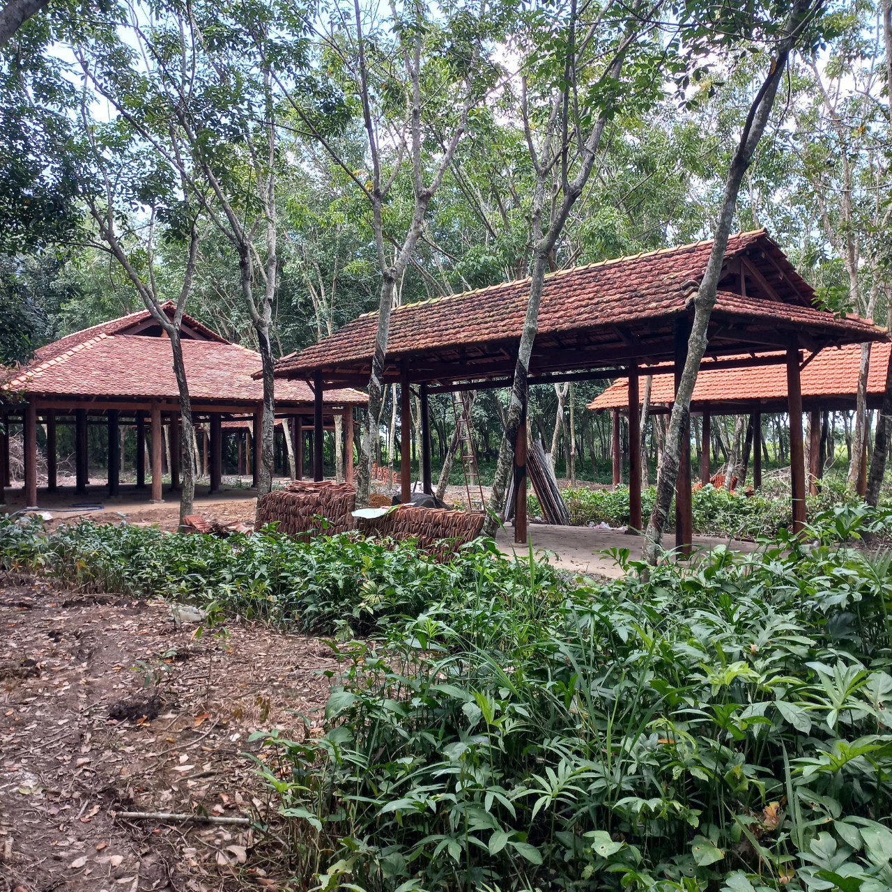 BÉ NHÀ GỖ TÂY NINH | NHÀ GỖ TÂY NINH