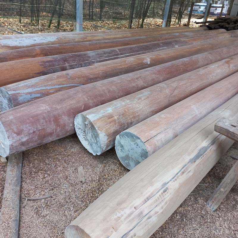 Ván ngựa giá rẻ Tây Ninh