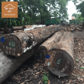 Cơ sở chuyên bán gỗ thi công nhà gỗ chất lượng, bền chắc