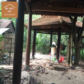 Chuyên buôn bán ngói lợp nhà gỗ cũ chất lượng và giá tốt