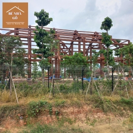 Xây nhà gỗ Tây Ninh giá rẻ: Tiết kiệm nhưng đẳng cấp