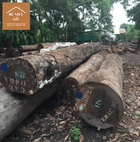 Cơ sở chuyên bán gỗ thi công nhà gỗ chất lượng, bền chắc