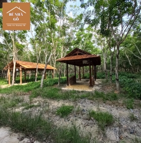Thiết kế nhà gỗ nhỏ: Phù hợp với mọi không gian và phong cách sống