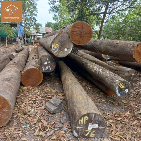 THI CÔNG NHÀ GỖ 12 - BÉ NHÀ GỖ TÂY NINH